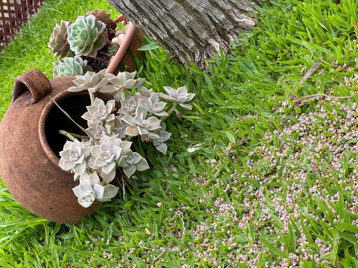 カリェタ Casa Dos Avosヴィラ エクステリア 写真